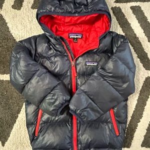 Patagonia Baby Hi-Loft Down Sweater Hoody 4T